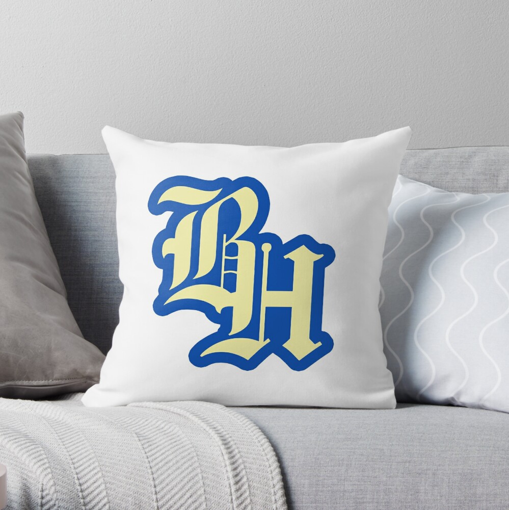 throwpillowsmall1000x bgf8f8f8 c020010001000 1 - Brockhampton Shop